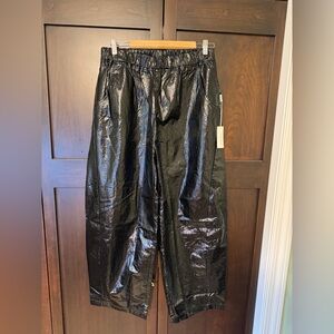 Le Bon Shoppe Liquid Nylon Arc Pants